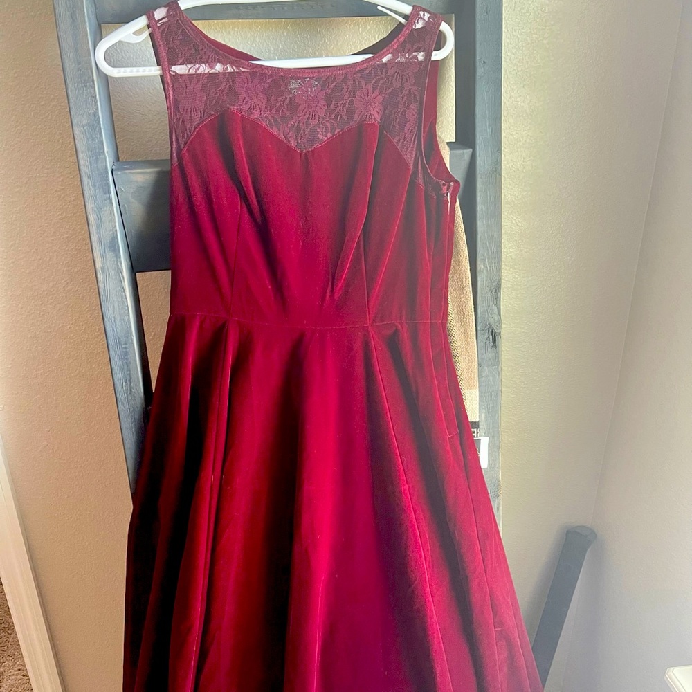 Hearts and Roses velour dress